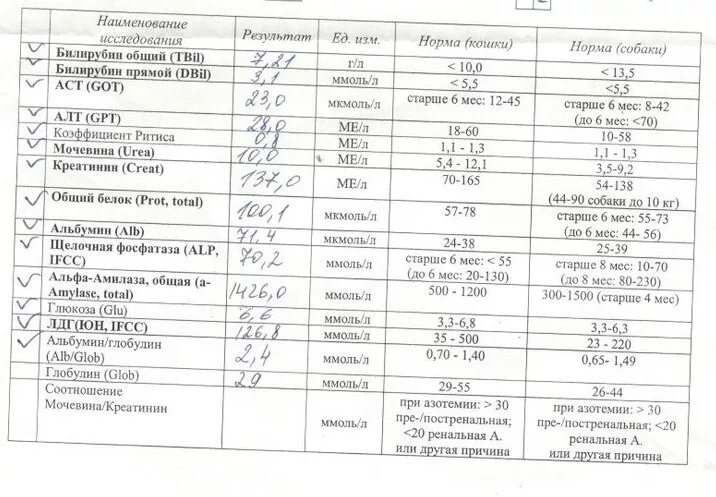 Общий белок у собак норма. Норма глобулина у собак. Исследование крови у собаки в норме. Общий белок норма у кошек.