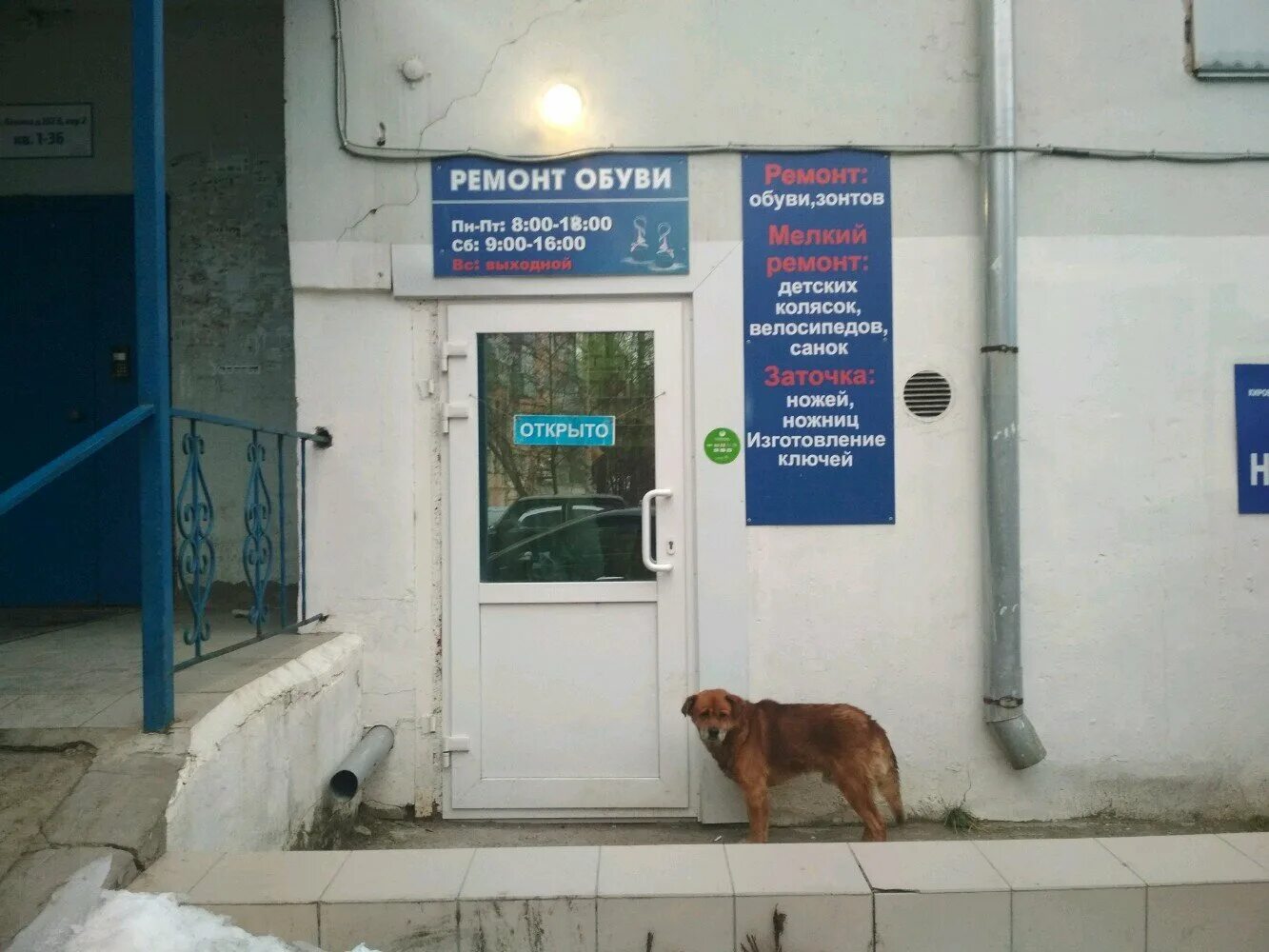 обувная мастерская выборг. ремонт обуви чебоксары. ремонт обуви названия. кирова 256 самара. пр-т кирова, 256.