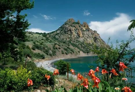 Крымском коктебеле