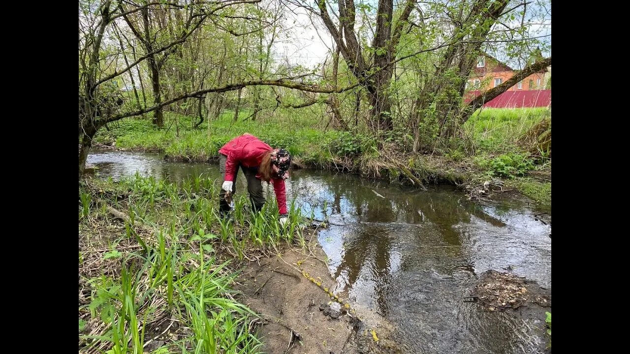 Субботник на реке. Субботник по берегу реки. Субботник на речке. Субботник река. Субботник на реке.