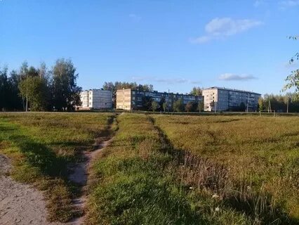 Погода в дороничах на 10 дней