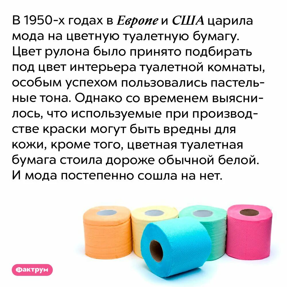 Рулон туалетной бумаги на стене. Вредна ли туалетная бумага. Туалетная бумага профессиональная. Вредна ли туалетная бумага. Бумагу в унитаз.