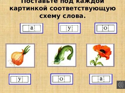 Схема слова три 1 класс