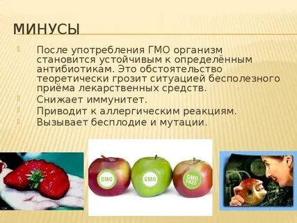 Гмо презентация по биологии 11 класс