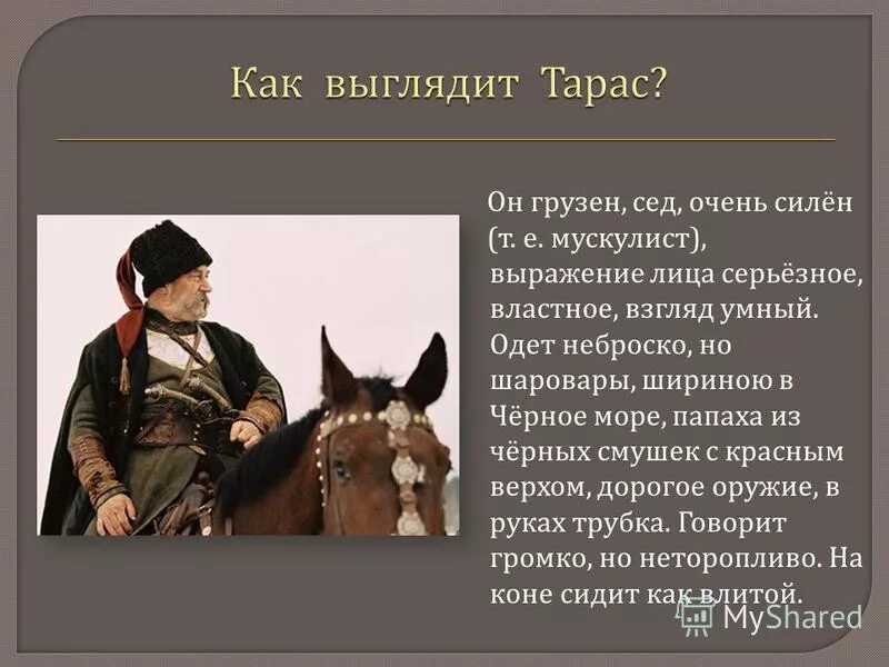 Характеристика тараса бульбы по плану. Характеристика образа Тараса бульбы. Тарас Бульба Бульба характеристика. Характеристика Тараса. Тарас Бульба внешность.