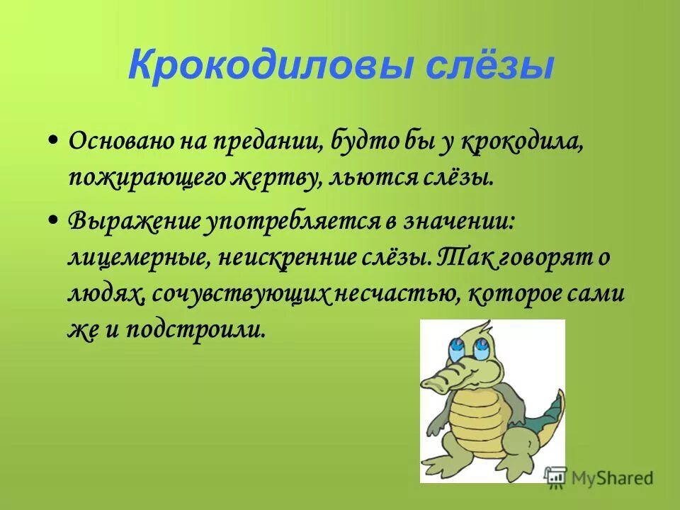 План текста выражение крокодиловы слезы. План текста выражение крокодиловы слезы