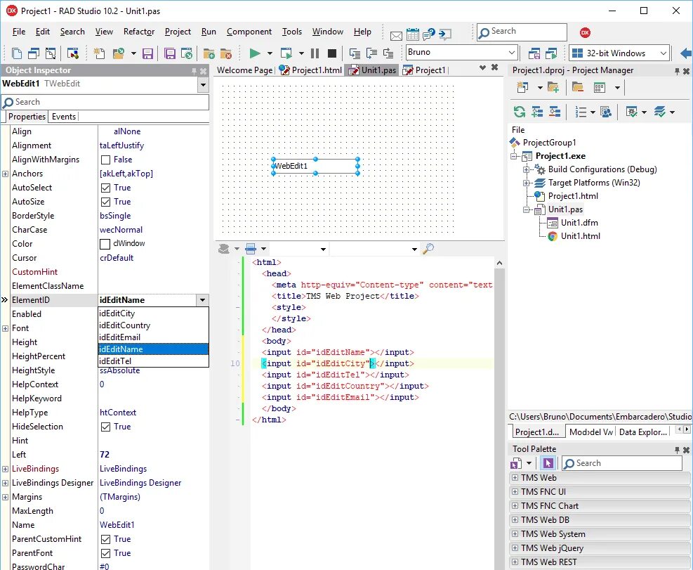 Лог эксперт. TMS web Core DELPHI. Ide Embarcadero rad Studio 10. Rad Studio графики. TMS компоненты для DELPHI 10.3.