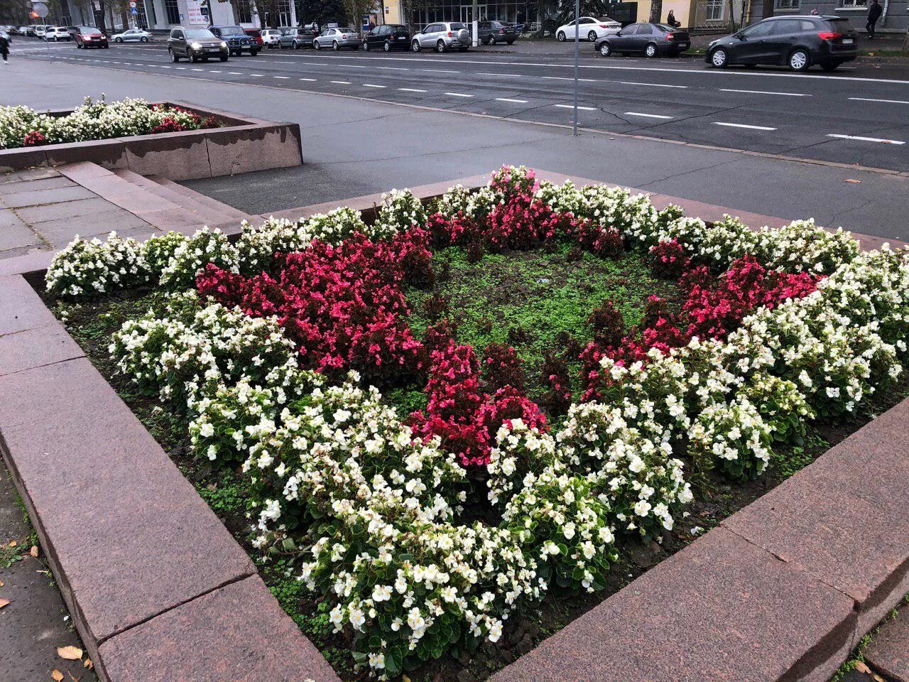 Клумба рабатка
