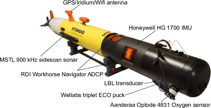 Подводный аппарат Remus 100. Подводный робот Ремус 600. Remus 100 AUV (remus100.m). НПА Remus 100.