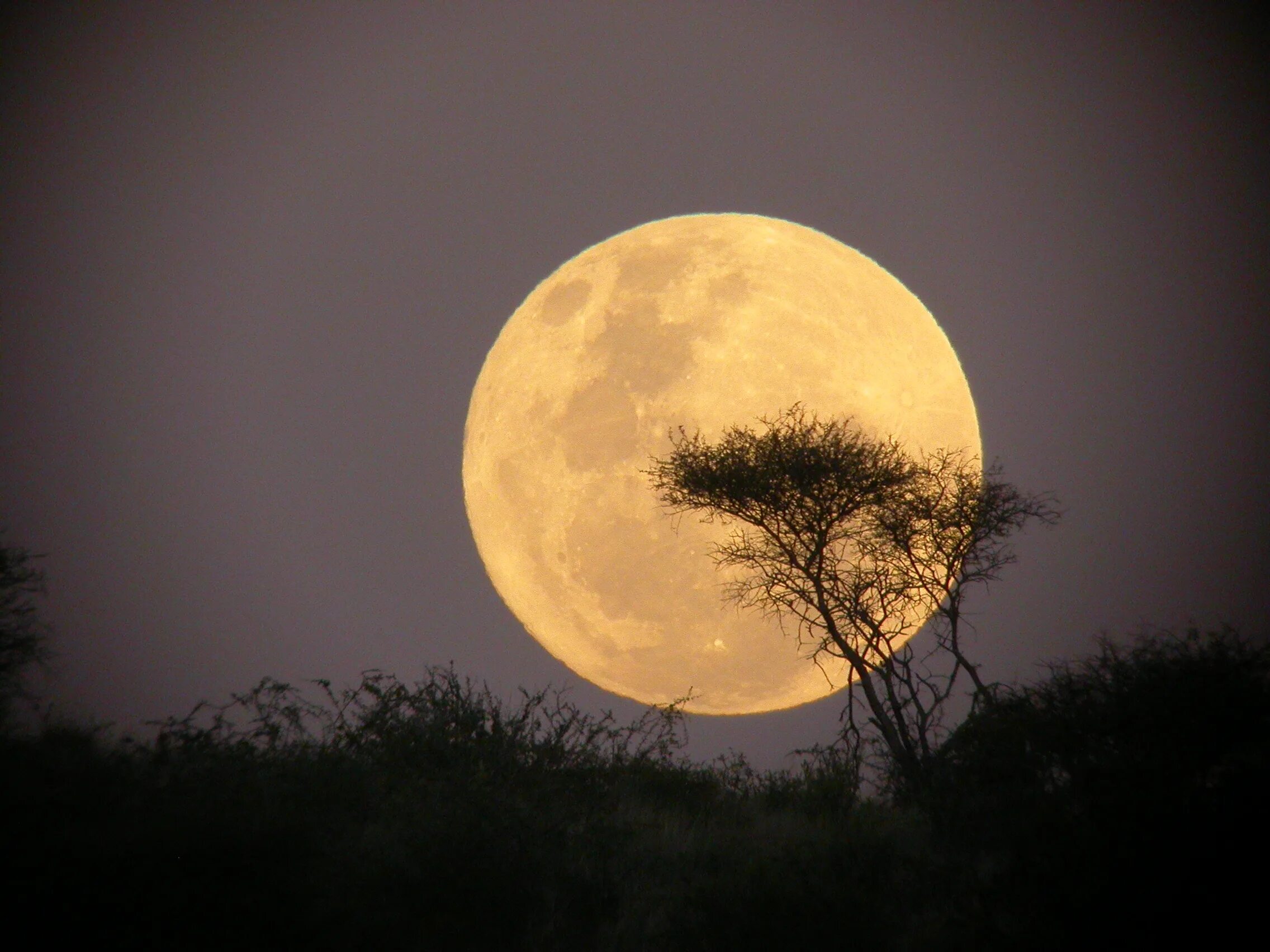 Луна. Полнолуние. Фото Луны. Большая Луна.