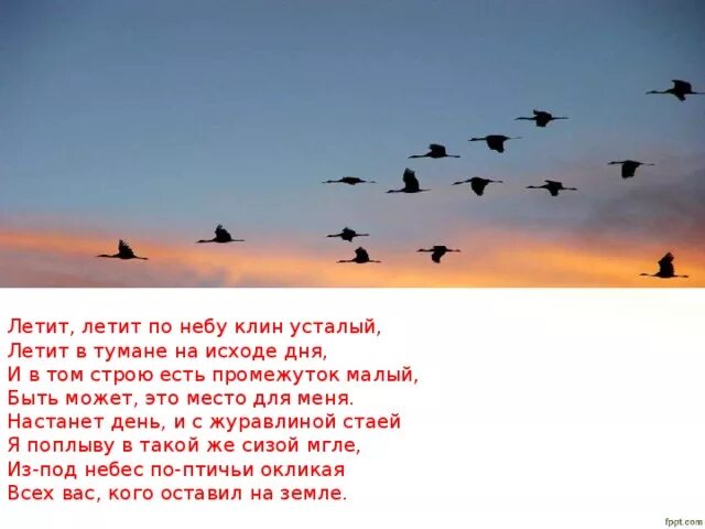 Стихи про журавлиный Клин. Солдаты Журавли. Солдаты с кровавых не пришедшие полей. Белые Журавли и солдаты.