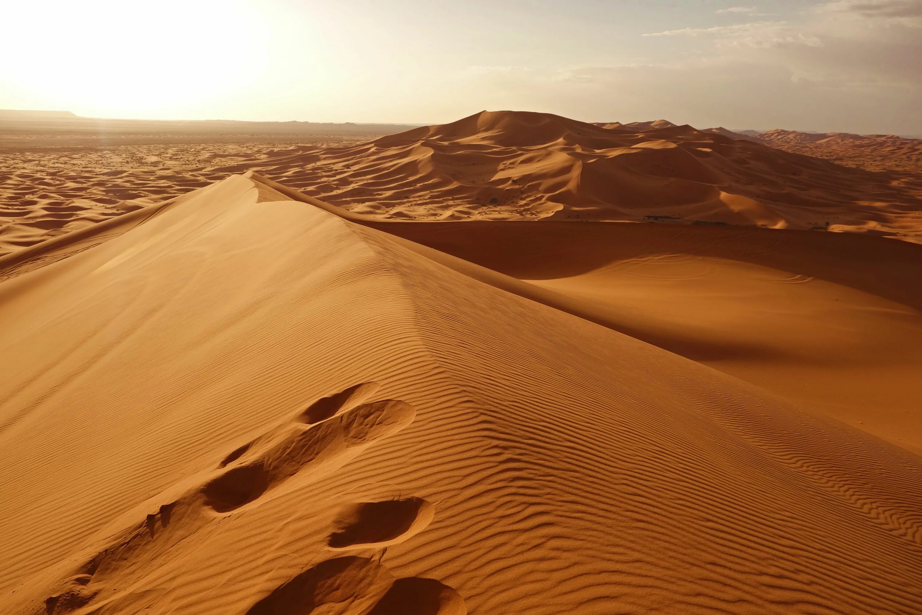 Африка сахара. Пустыня сахара. Пустыня сахара (Sahara Desert). Эль ХАМРА пустыня. Пустыни каштановые