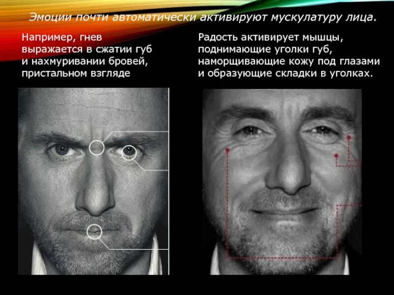 Правда лжеца. Невербальные признаки лжи. Невербальное проявление лжи. Невербальные жесты лжи. Распознать ложь по мимике и жестам.