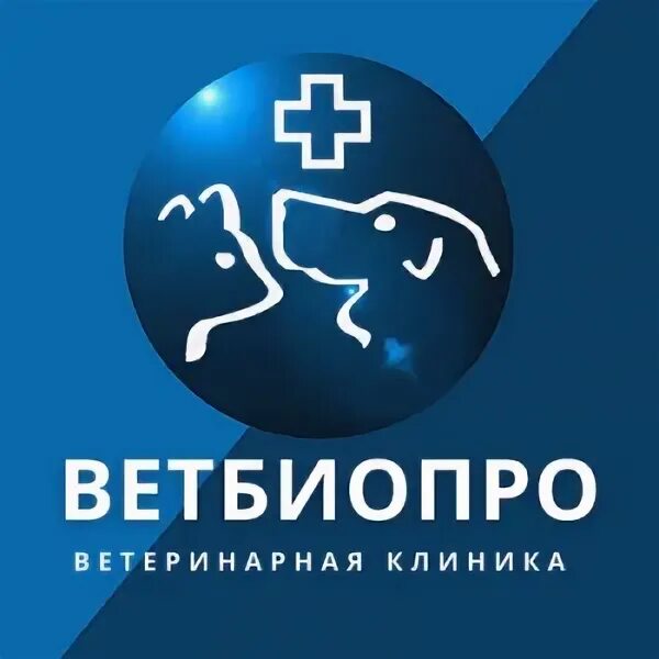 Интенсивная терапия ветеринария. Икша ветеринарная. Икша ветеринарная. Икша ветеринарная. Ветеринарный станок для лошадей.