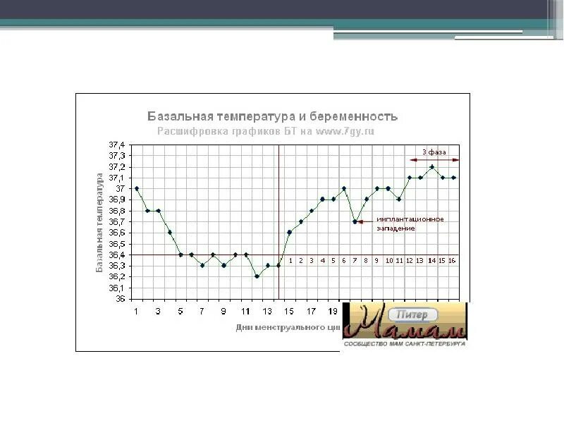 Базальная температура отзывы. График базальной температуры с расшифровкой. Расшифровка Графика базальной температуры. Графики базальной температуры с примерами и расшифровкой. График базальной температуры беременной женщины.