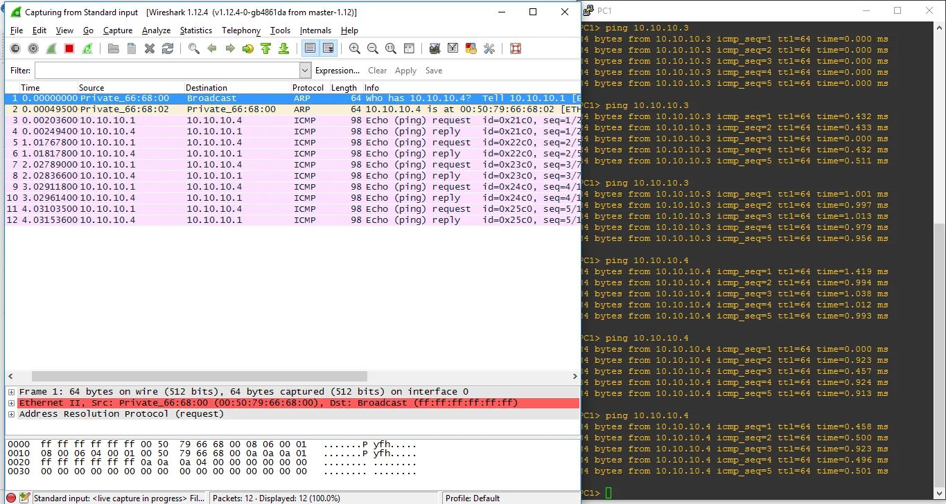 Ping ttl. Seq (4р16.3q28.3). ARP Wireshark. Time request протокол (10 клиентов). Ping-запрос как выглядит.