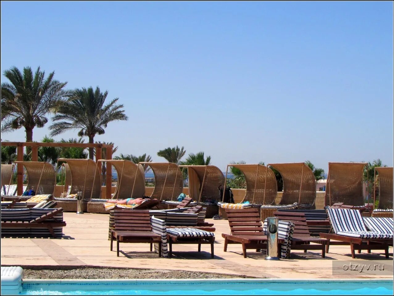 Coral beach hurghada 4. Корал Бич Хургада. Корал Бич Хургада кораллы. Coral Beach Hotel Hurghada 4. Отель в Хургаде из кораллов.