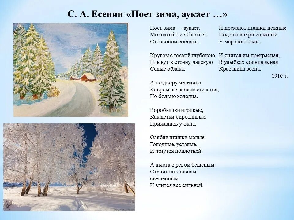 Стих на тему родной язык. Русский стих 5 класс. Литература 5 класс зимний вечер. Поэзия родной природы. Афанасий фет печальная береза.