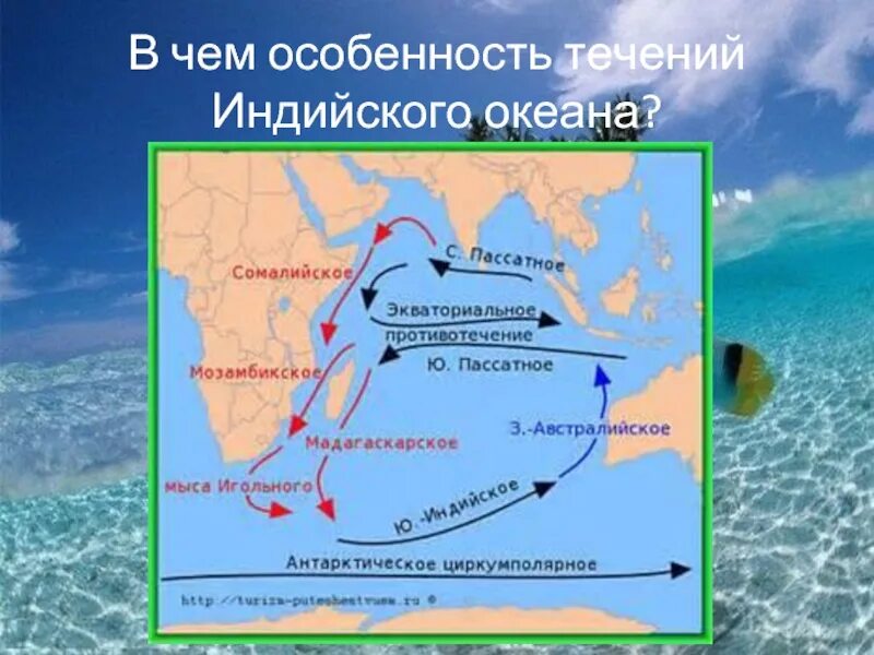 Какие течения омывает тихий океан. Южное пассатное течение на карте индийского океана. Северное пассатное течение индийского океана. Течения индийского океана теплые и холодные. Муссонное течение на карте индийского океана.