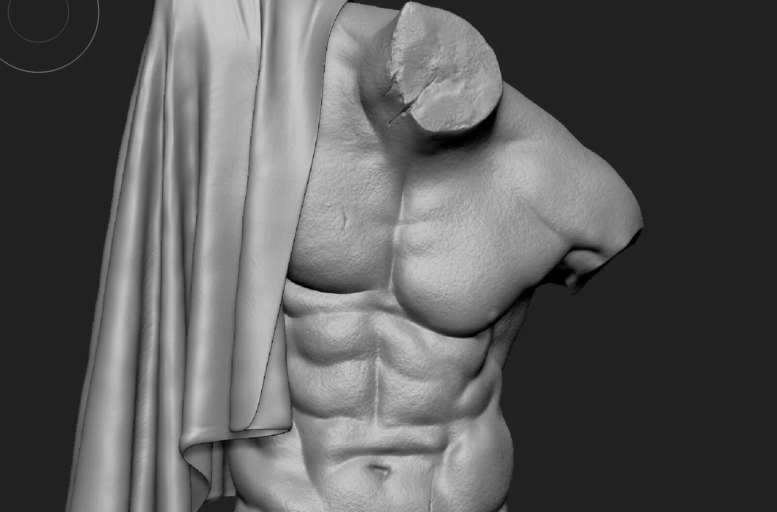 Туловище. Торс Давида 3d. Мужской торс чёрный модель скульптура. Античная скульптура торс настенный. Торс лиханипура.