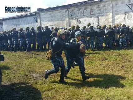 12 колония