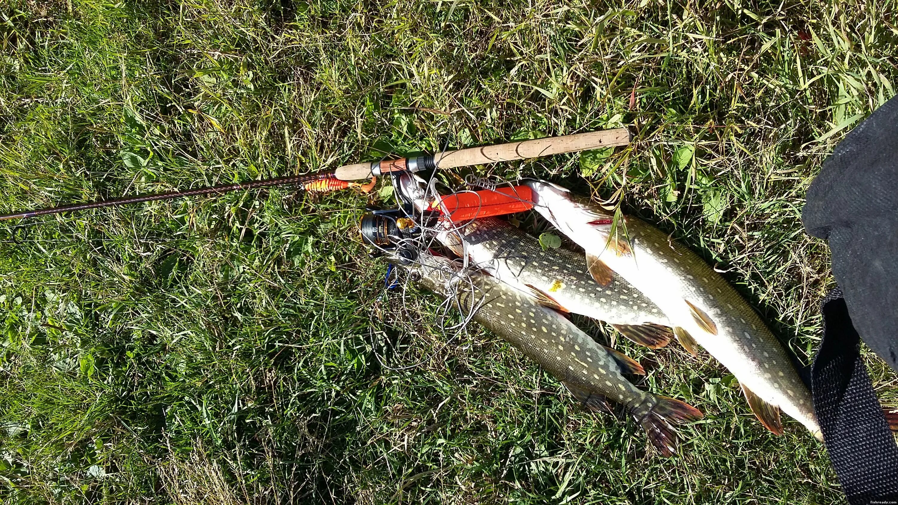 Оазис рыбалка барнаул. Barnaul fishing фото. Рыболовные базы на оби. Рыбалка кучук алтай. Отчеты о рыбалке барнаул.