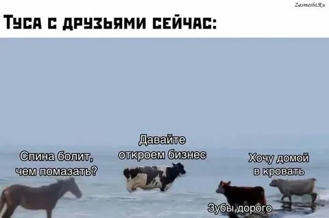 Одна давай открывай