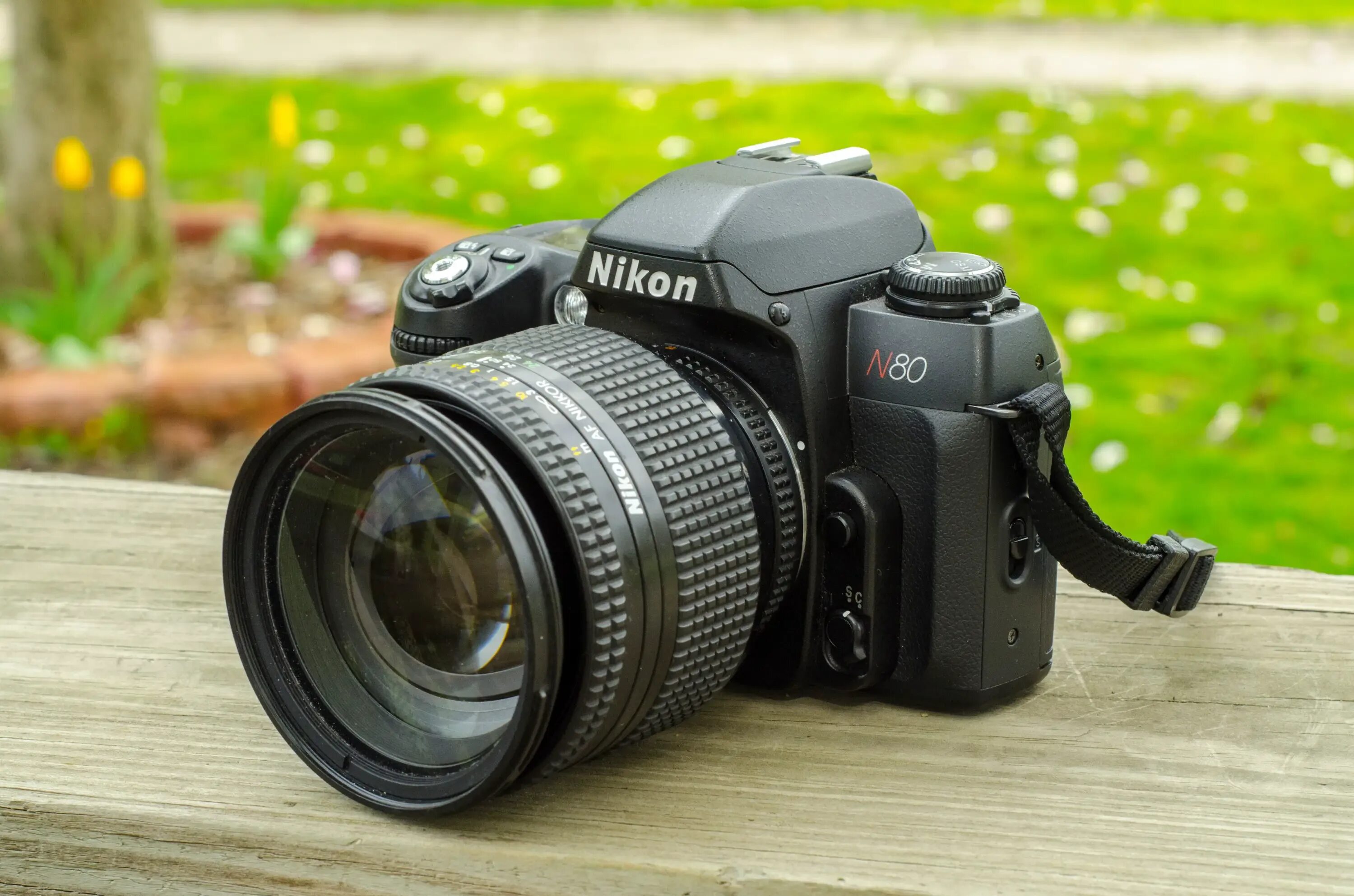 Nikon f100. Nikon n80. nikon f80. никон 2000. никон n50.