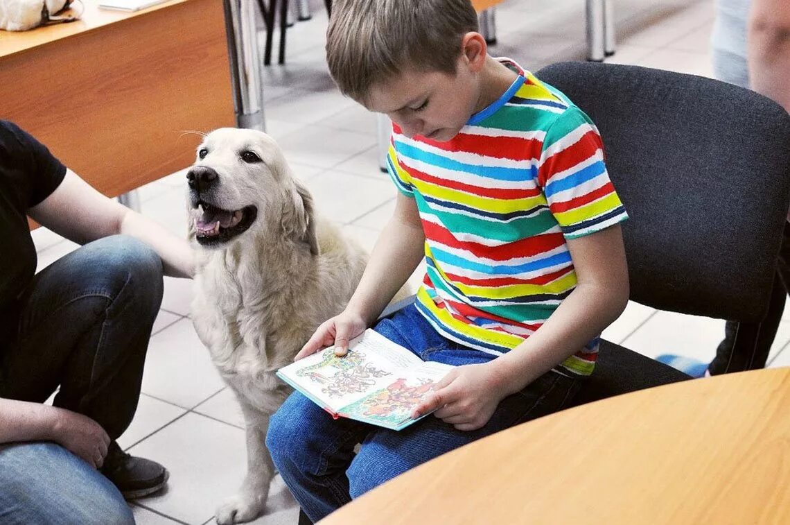 Лабрадор канистерапия. Канистерапия с собаками. Собака в библиотеке. Канистерапия для детей. Дети читают собаке