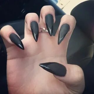 Когти острые длинные