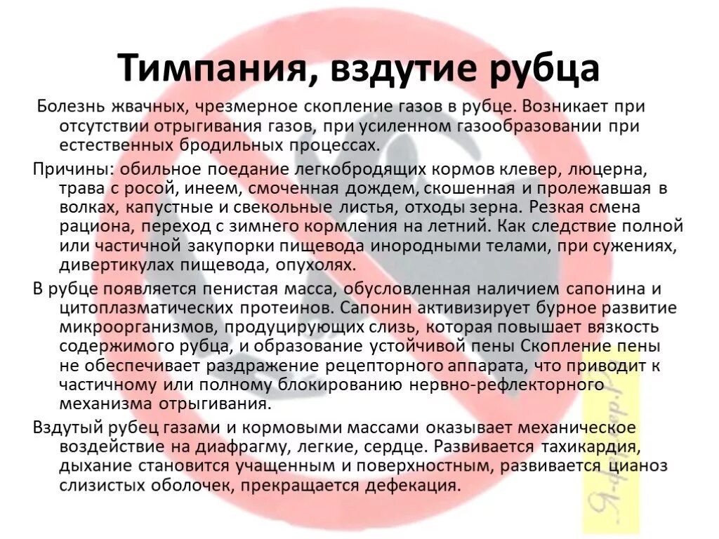 Можно ли давать рубец