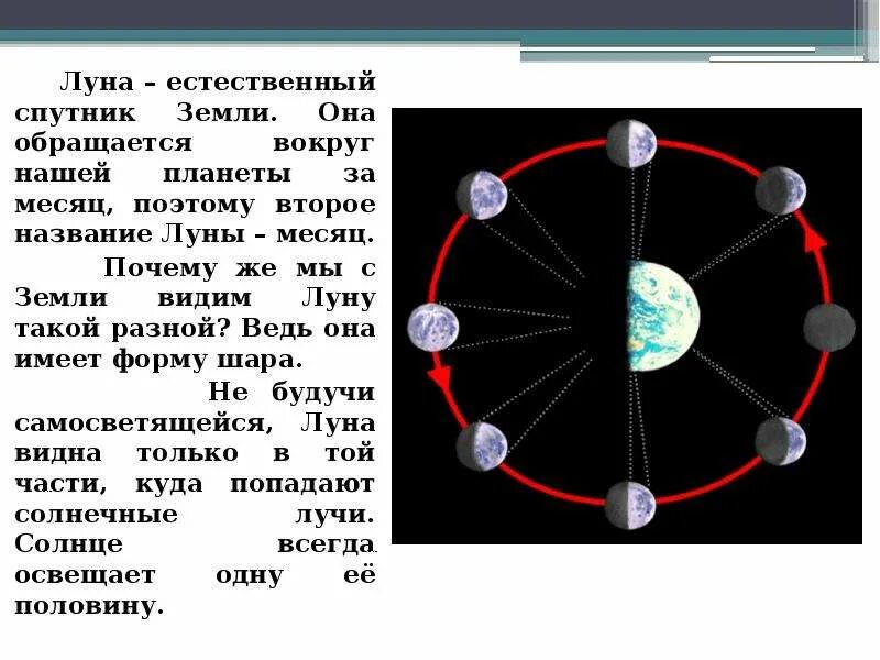 Почему видна только одна сторона. Луна естественный Спутник земли. Почему мы видим луну. Почему мы видим месяц. Синодический лунный месяц.