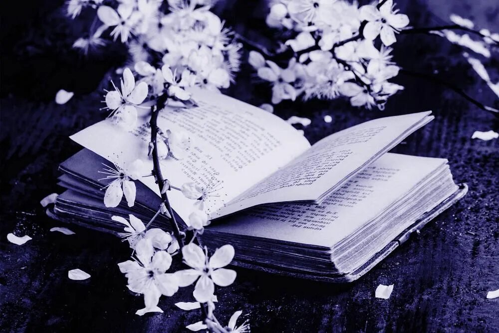 красиво читает стихи