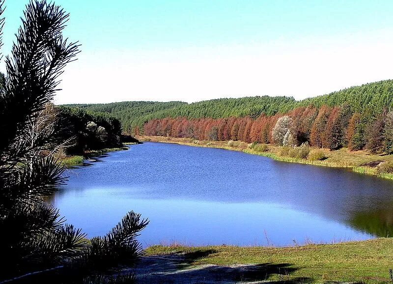 природа села красногорское алтайский. село кажа красногорского района алтайского края. алтайский край красногорский район с красногорское. гора елтош красногорского района алтайского края. озеро красногорское алтай.