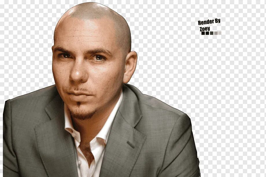 Pitbull Biography Pitbull rapper, Pitbulls, Pitbull albums