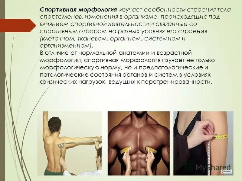 спортивная морфология. спортивная морфология учебник. анатомия с основами спортивной морфологии. биологические основы жизнедеятельности человека. спортивная морфология учебник.