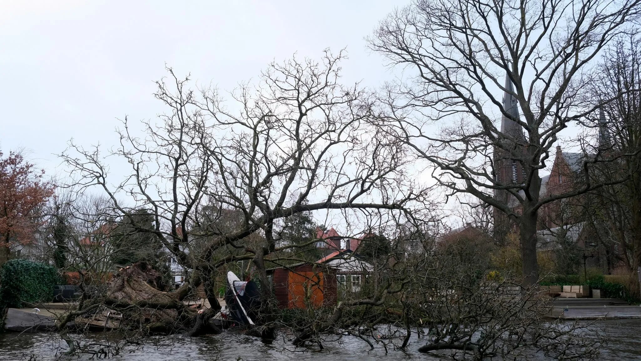 Шторм в Голландии. Укрыть деревья. Ветер в Амстердаме. Hurricane Knock down Trees.