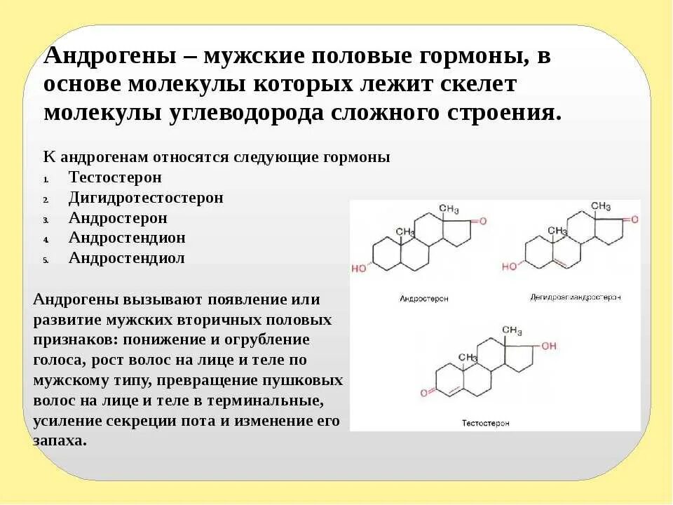 Фитоандрогены. Андрогенные стероидные гормоны. Мужские половые гормоны андрогены и тестостерон. Строение гормонов андрогенов. Мужские половые гормоны и их функции.