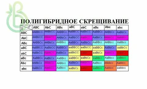 Генотип aabbcc