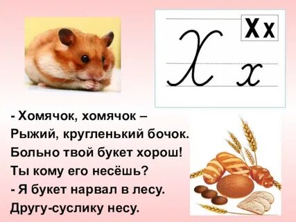 Шифр хомяк 31 августа 1 сентября