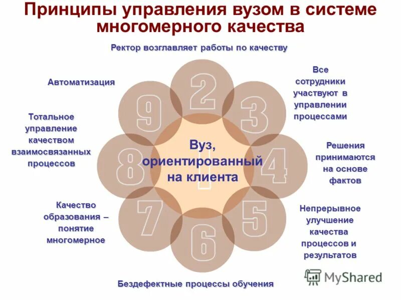 Центр качества университета. Центр качества университета