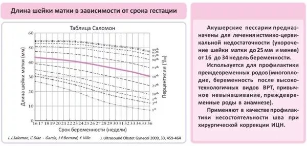 Матка на 33 неделе беременности