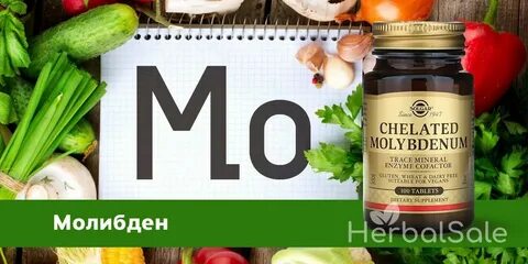 Роль молибдена в организме человека