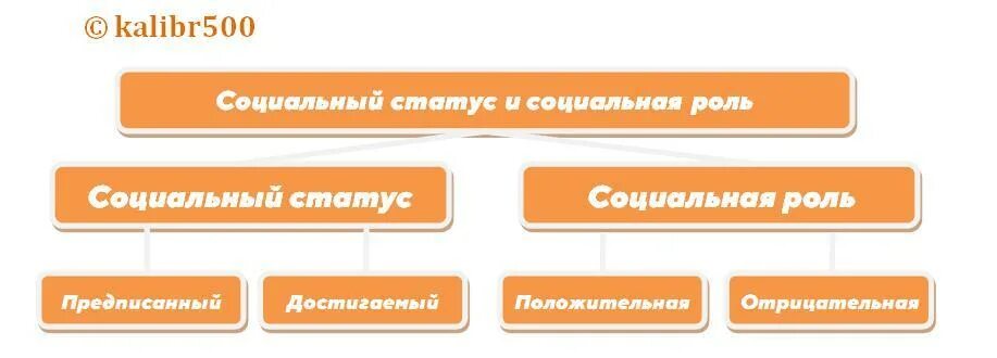 Кластер на тему социальный статус. Кластер социальные роли. Социальные статусы и роли кластер. Кластер Мои социальные роли.