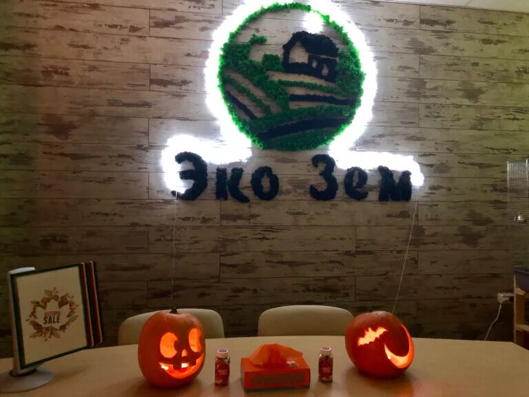 здоровье природа. подарок семечко для посадки дерева. устойчивого развития росток растет. экологический проект. росточек.