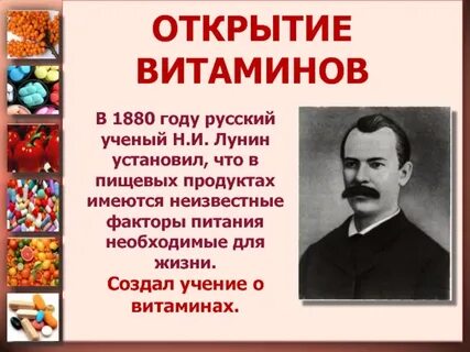 Кто открыл витамины