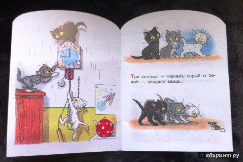 Сутеев 3 котенка. Три котенка книжка Сутеева. Три кота Сутеев. Три котенка слова