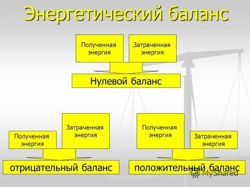 Нулевое равновесие. Энергетический баланс. Энергетический баланс организма. Положительный энергетический баланс. Энергетический баланс положительный и отрицательный.