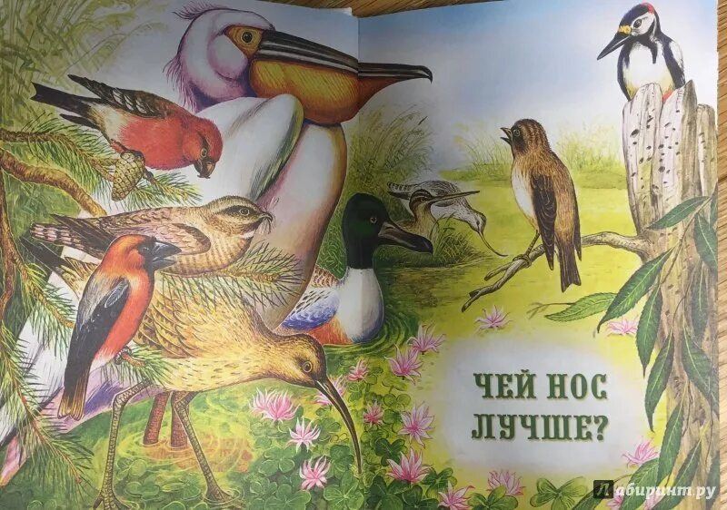 Чья попа лучше не. «чьи цветы лучше» б. Смешной кот с подписью. Попа маши в универе. Джеймс марсден лучшее во мне.