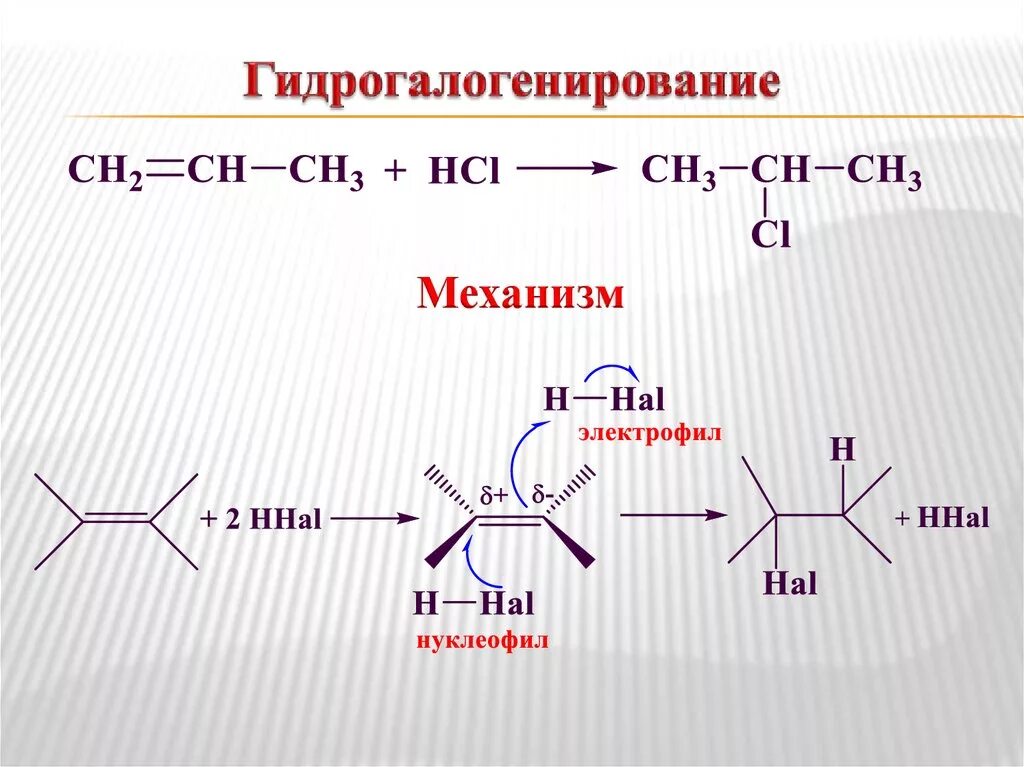 Гидрогалогенирование алкенов механизм реакции. Гидрогалогенирование алкенов механизм. Механизм реакции гидрогалогенирования алкенов. Гидрогалагинирование алкинов механизм реакции. Алкены реакции гидрогалогенирования